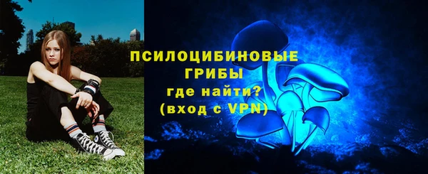 ГАЛЛЮЦИНОГЕННЫЕ ГРИБЫ Зеленодольск