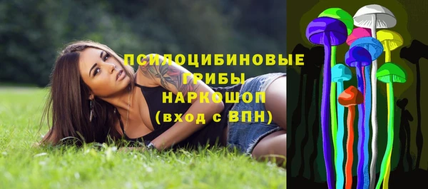 марки nbome Инта