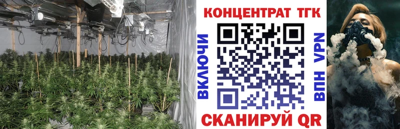 ТГК THC oil  Купить закладки  Дюртюли 
