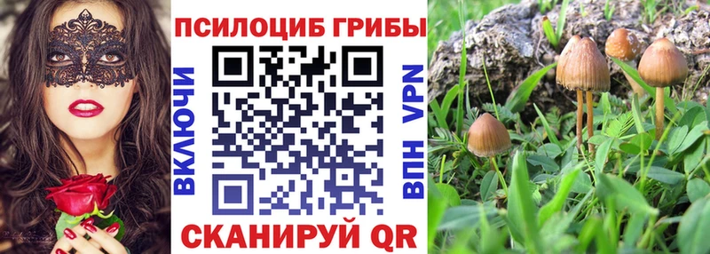 Купить  Дюртюли  Псилоцибиновые грибы мицелий 